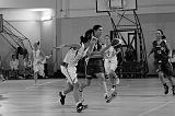 Basket C321128